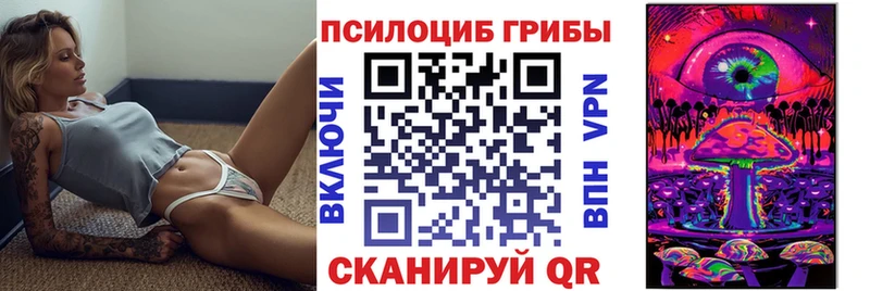 закладка  Кубинка  Галлюциногенные грибы мицелий 