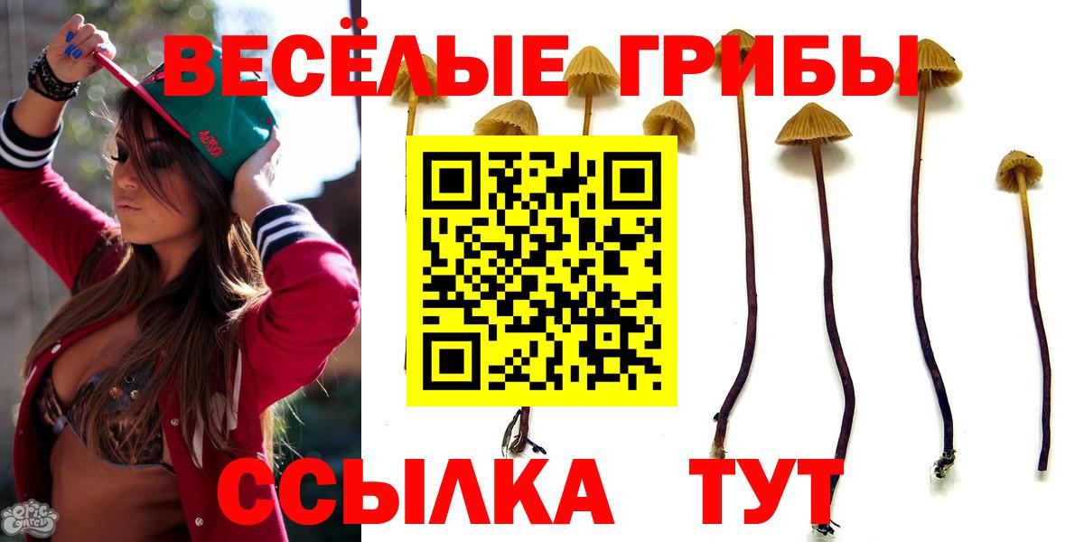 Псилоцибиновые грибы Magic Shrooms Кубинка